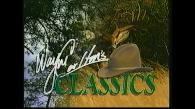 Wayne Carlton Classics