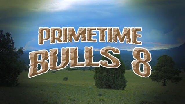 Primetime Bulls 8