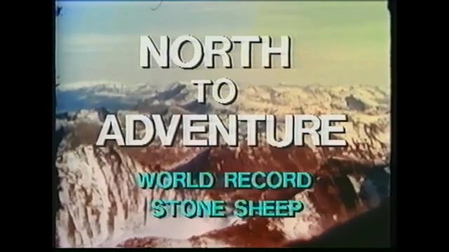 North to Adventure