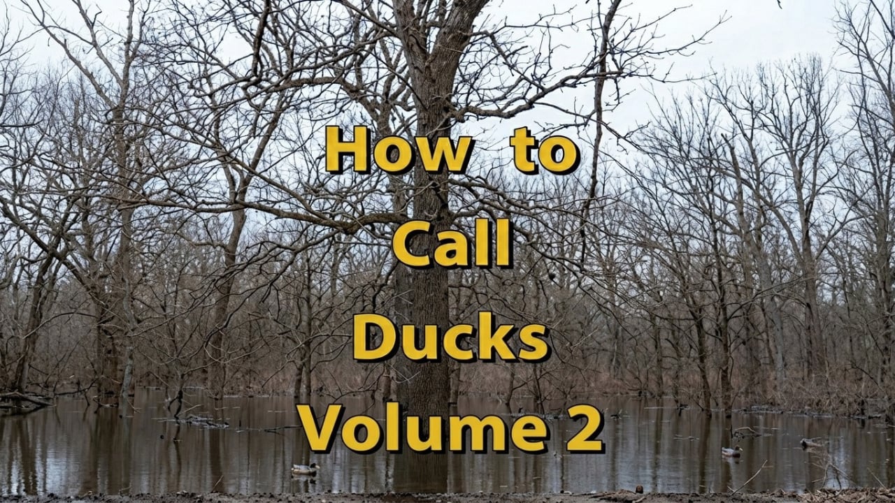 How to Call Ducks Vol 2
