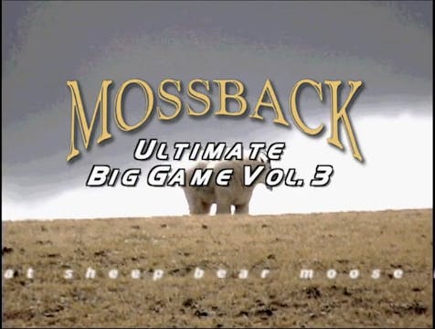 Ultimate Big Game Vol.3