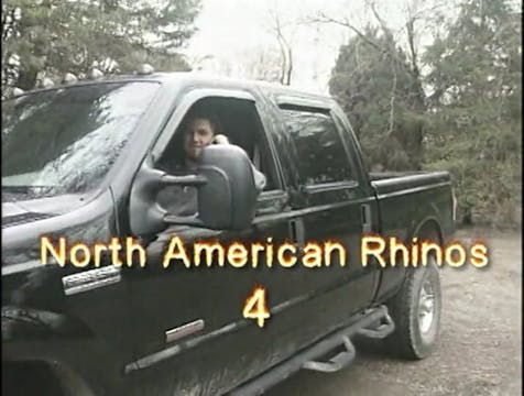 North American Rhinos 4