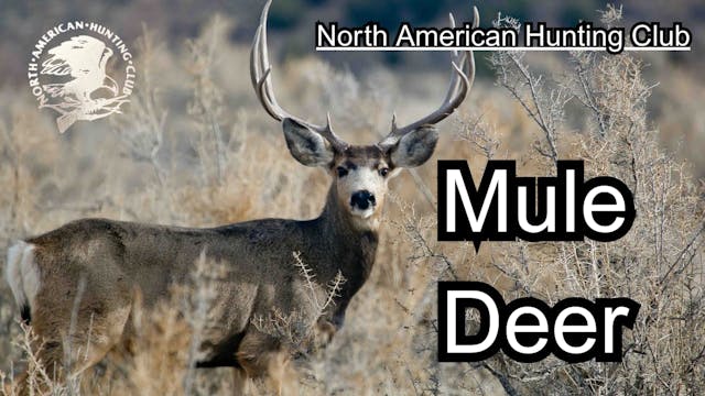 North American Hunting Club: Mule Deer