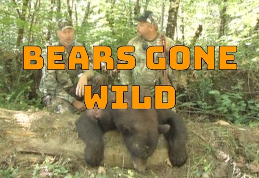 Bears Gone Wild