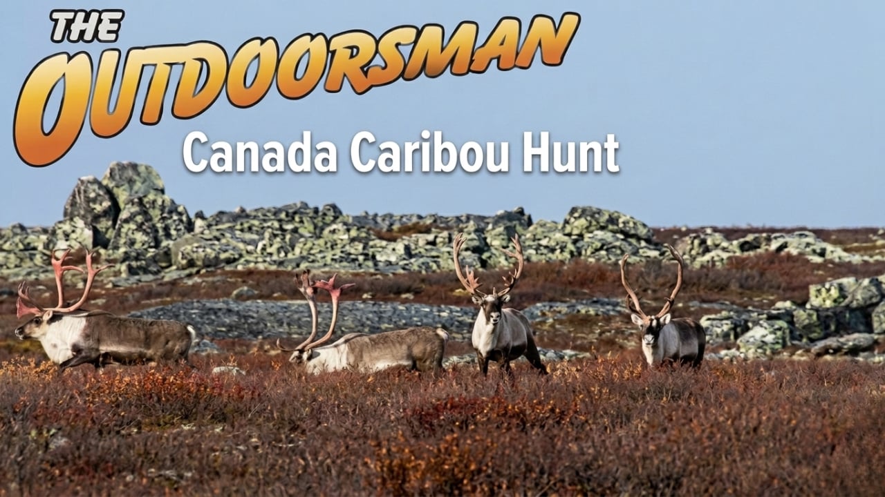 The Outdoorsman: Canada Caribou Hunt