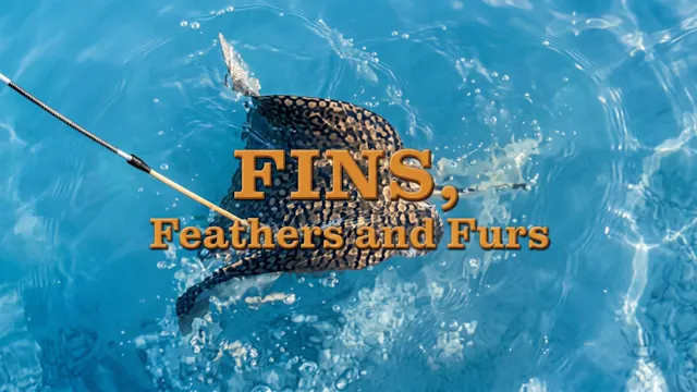 Fins, Feathers & Furs