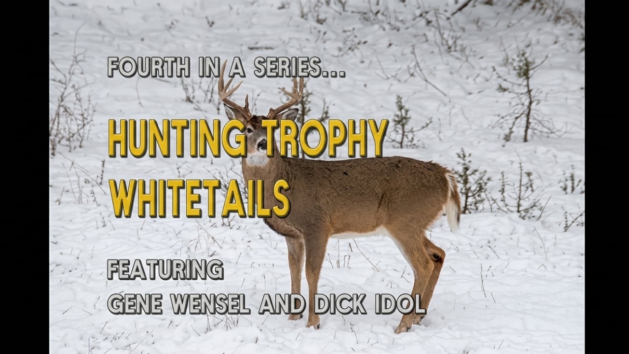 Hunting Trophy Whitetails