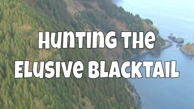 Hunting the Elusive Blacktail