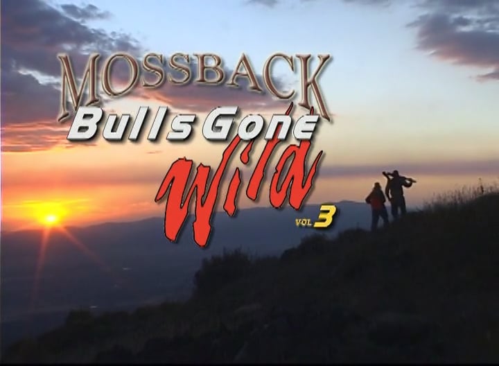 Bulls Gone Wild 3