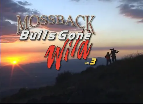 Bulls Gone Wild 3