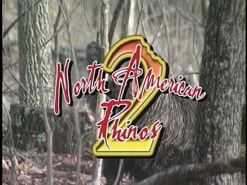 North American Rhinos 2