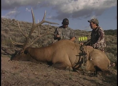 Lethal Addiction Archery Bulls Vol.1