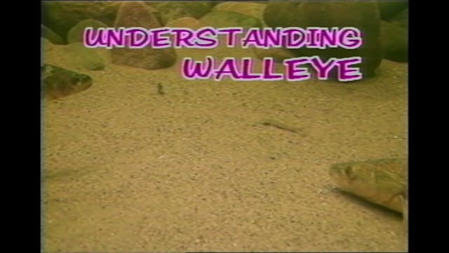 Understanding Walleye Part 1
