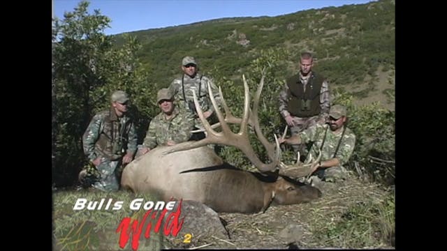 Bulls Gone Wild 2