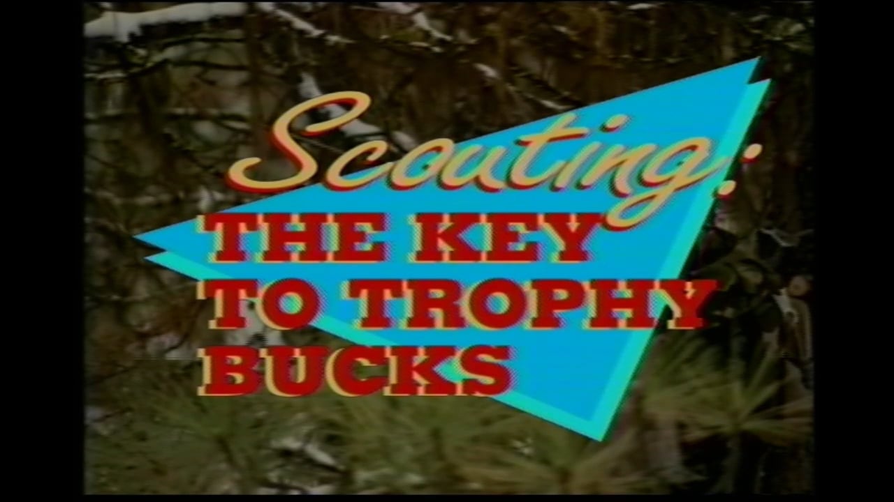 Scouting Key to Trophy Bucks
