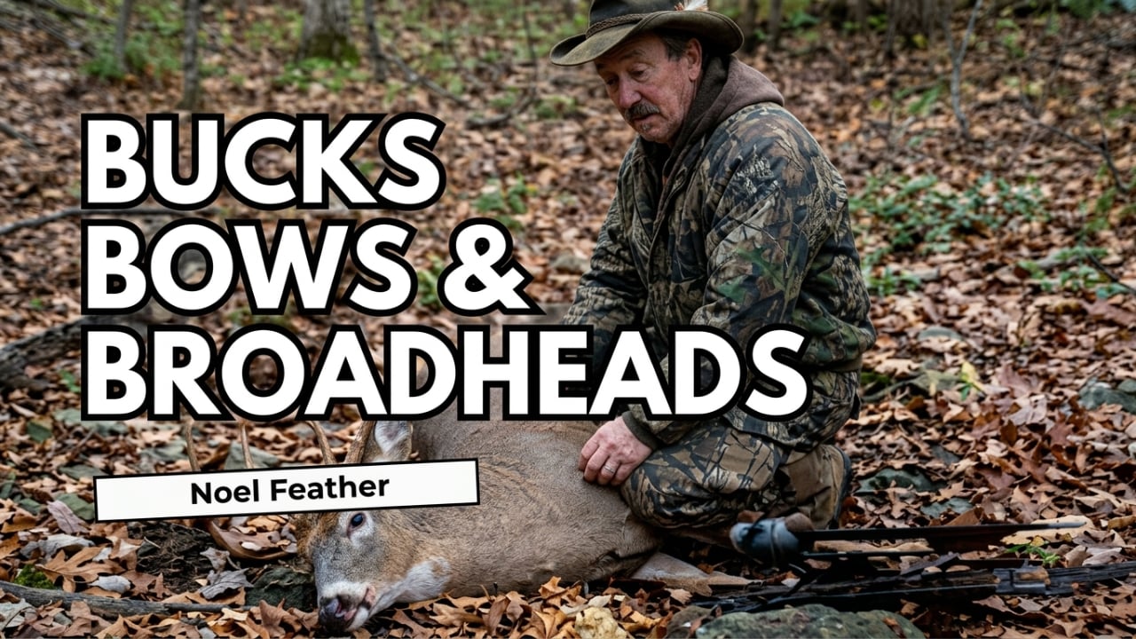 Bucks Bows and Broadheads