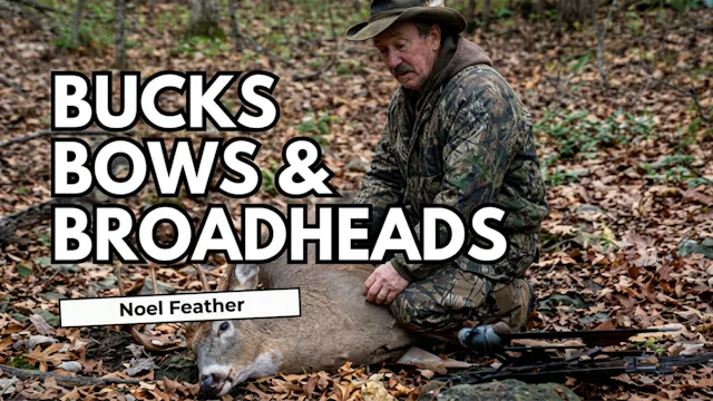 Bucks Bows and Broadheads