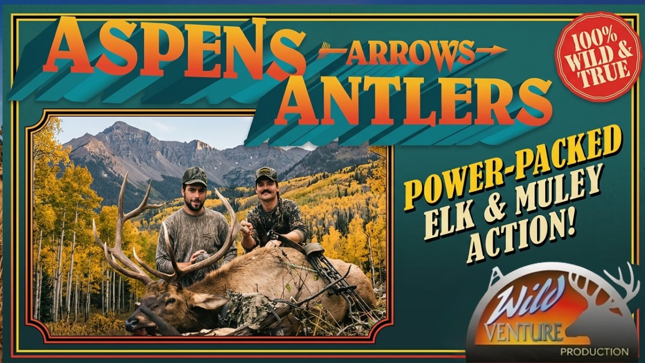 Aspens Arrows and Antlers