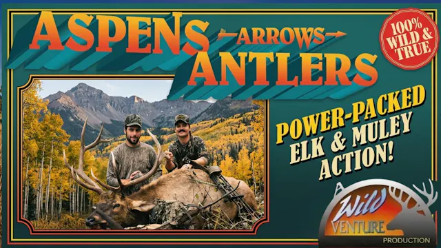 Aspens Arrows and Antlers