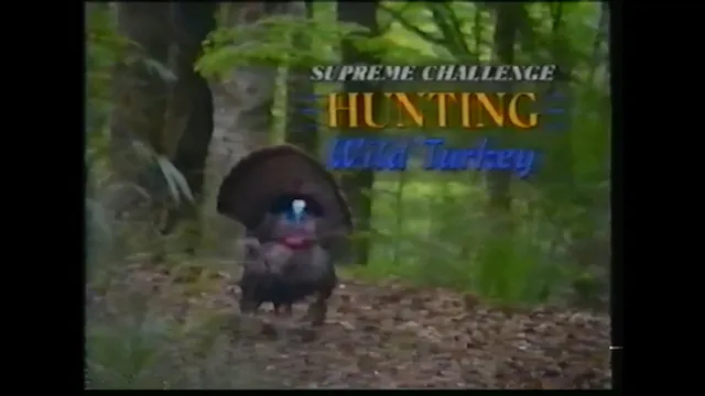 Hunting Wild Turkey