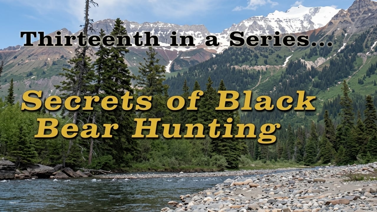 Secrets of Black Bear Hunting