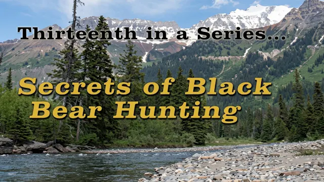 Secrets of Black Bear Hunting