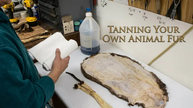 Tanning Your Own Animal Fur