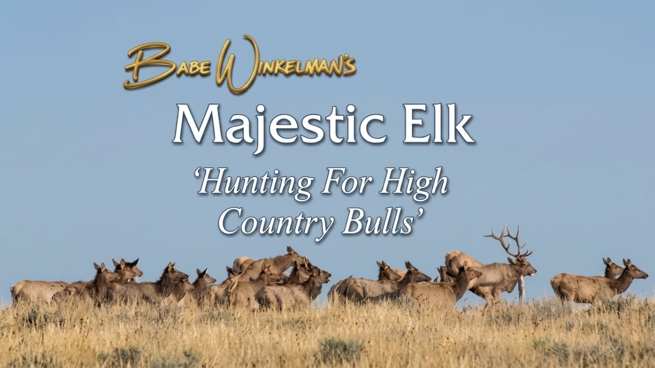 Babe Winkelman: Majestic Elk