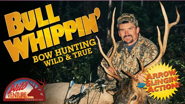 Bull Wippin