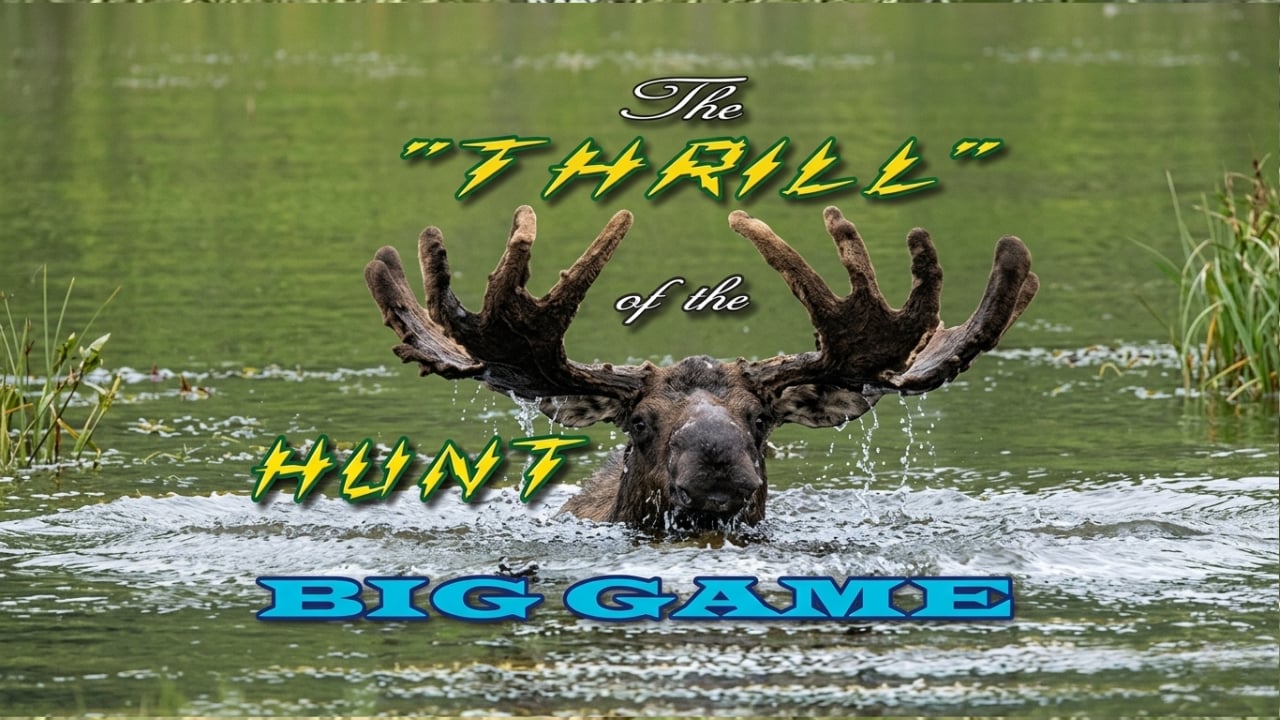Thrill of the Hunt