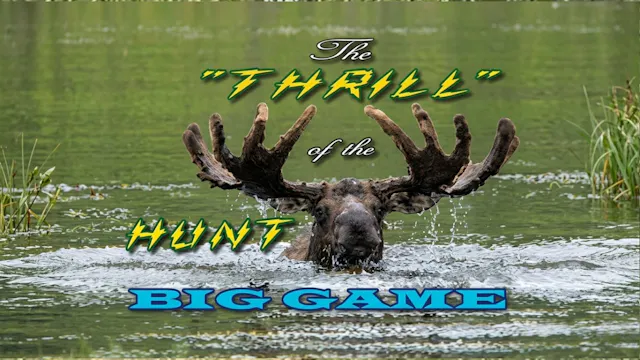 Thrill of the Hunt