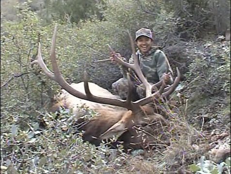 Awesome Bulls 4