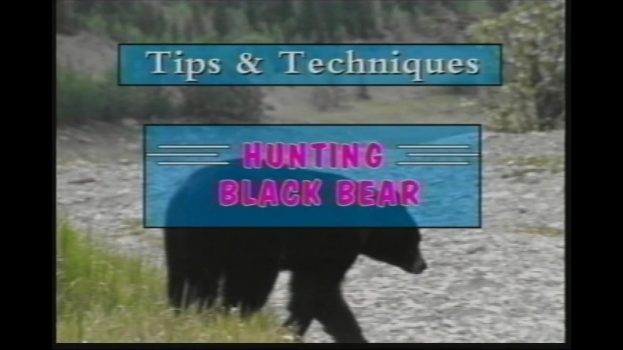 Hunting Black Bear
