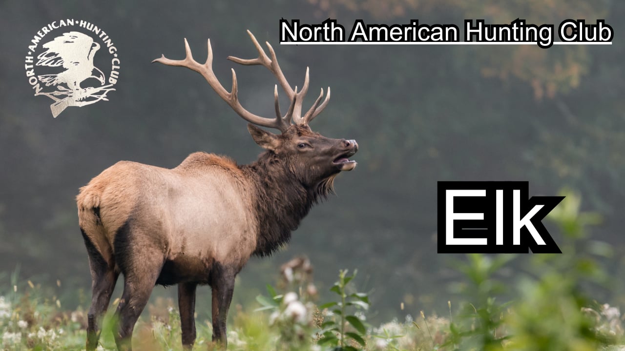 North American Hunting Club: Elk