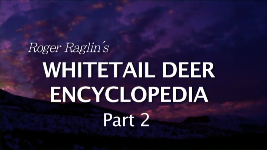 Whitetail Encyclopedia Part 2