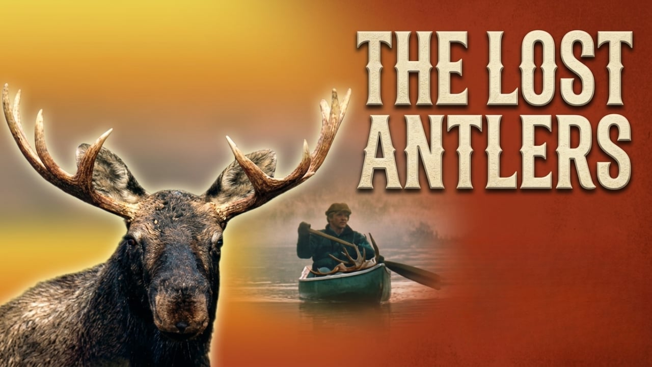 The Lost Antlers