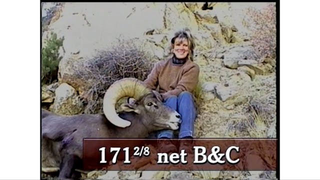 Big Game Adventures