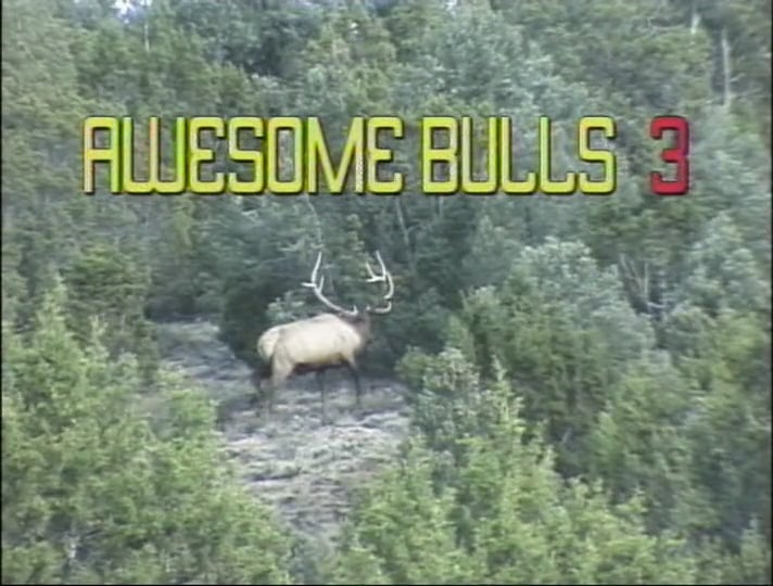 Awesome Bulls 3