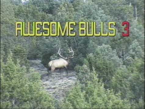 Awesome Bulls 3