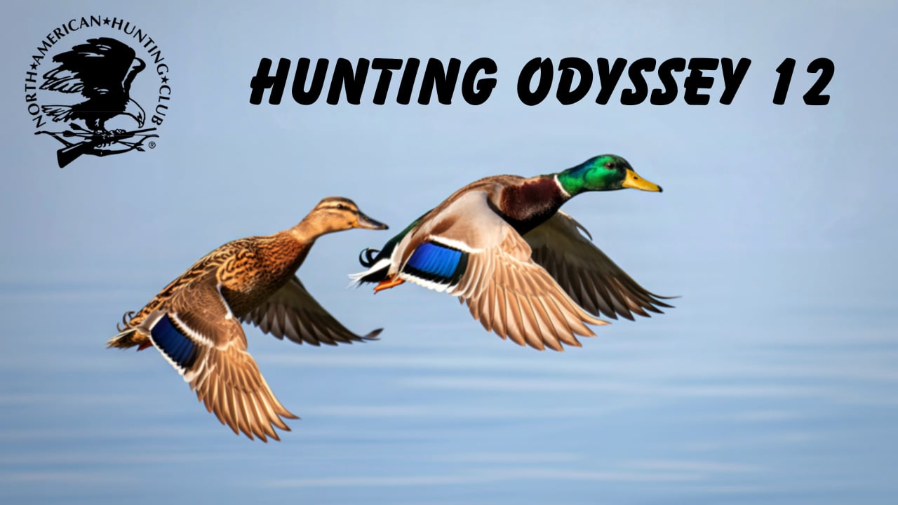 Hunting Odyssey 12