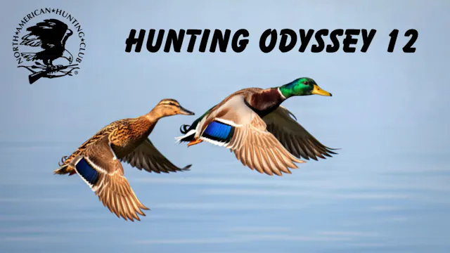 Hunting Odyssey 12