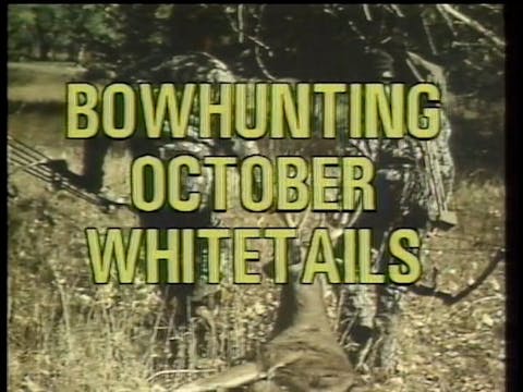 Bowhunting October Whitetails 1