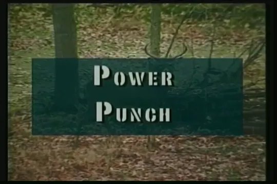 Power Punch