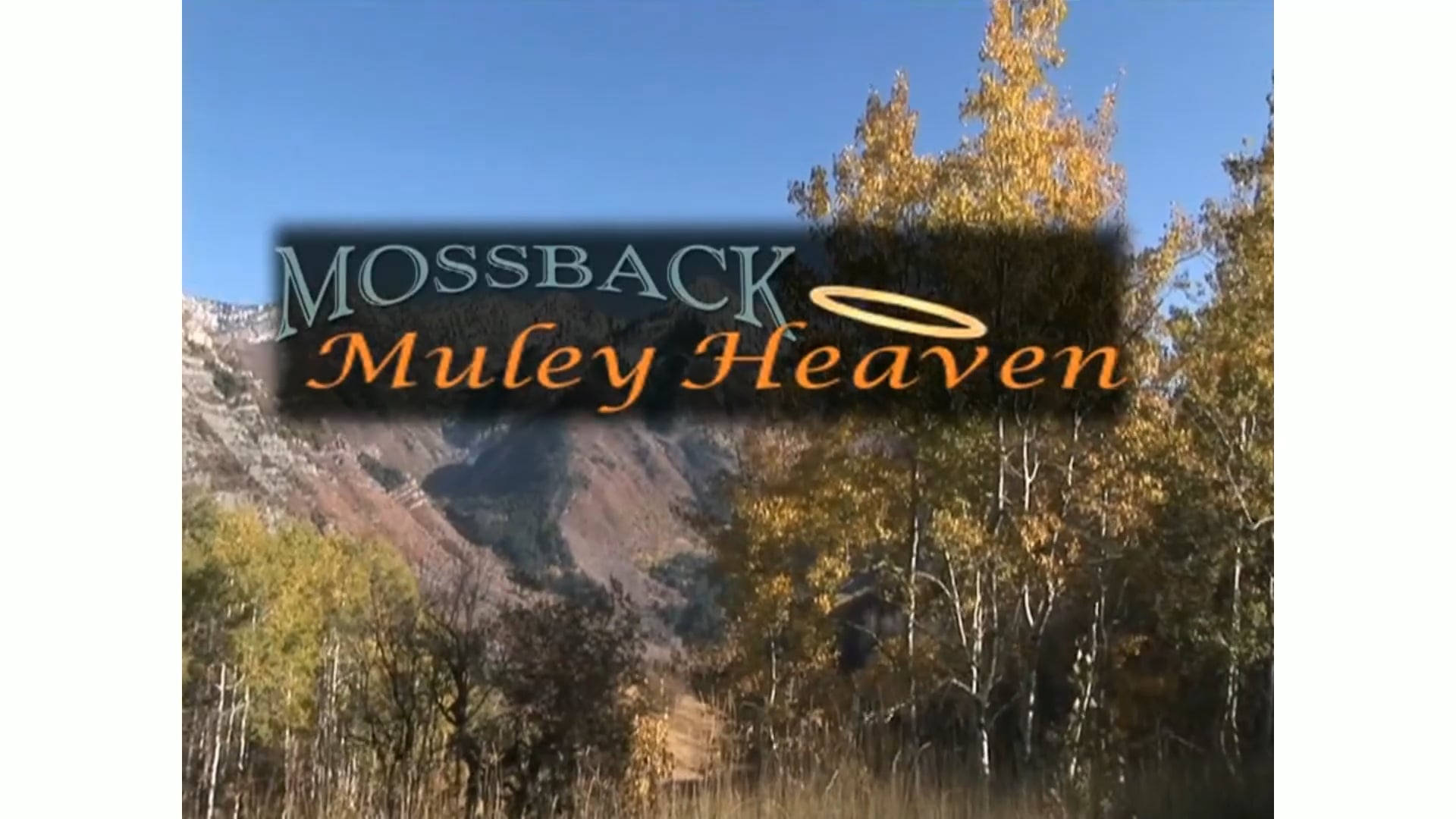 Muley Heaven