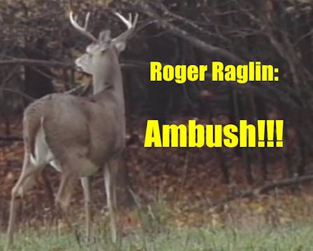 Ambush