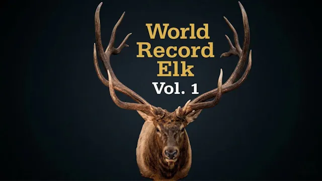 World Record Elk