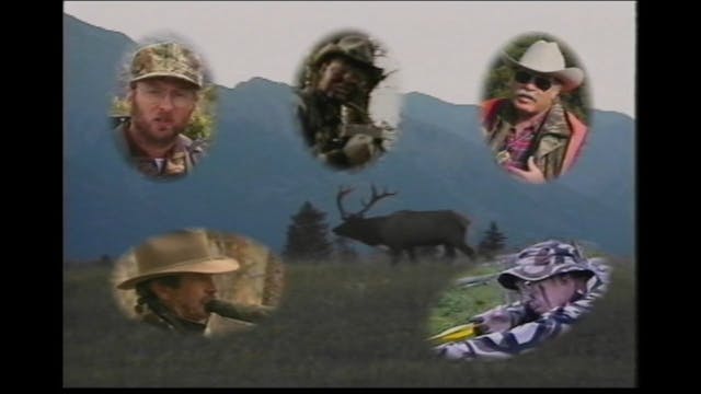Elk Hunting Experts