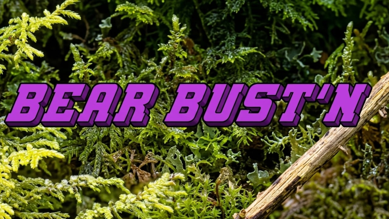 Bear Bust'n