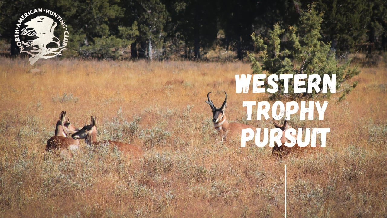 Western Trophy Pursuit