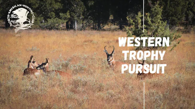 Western Trophy Pursuit